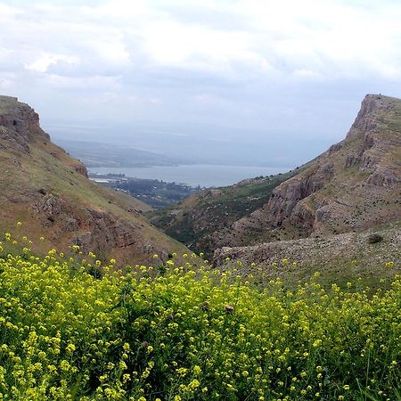 Arbel Holiday Homes Экстерьер фото