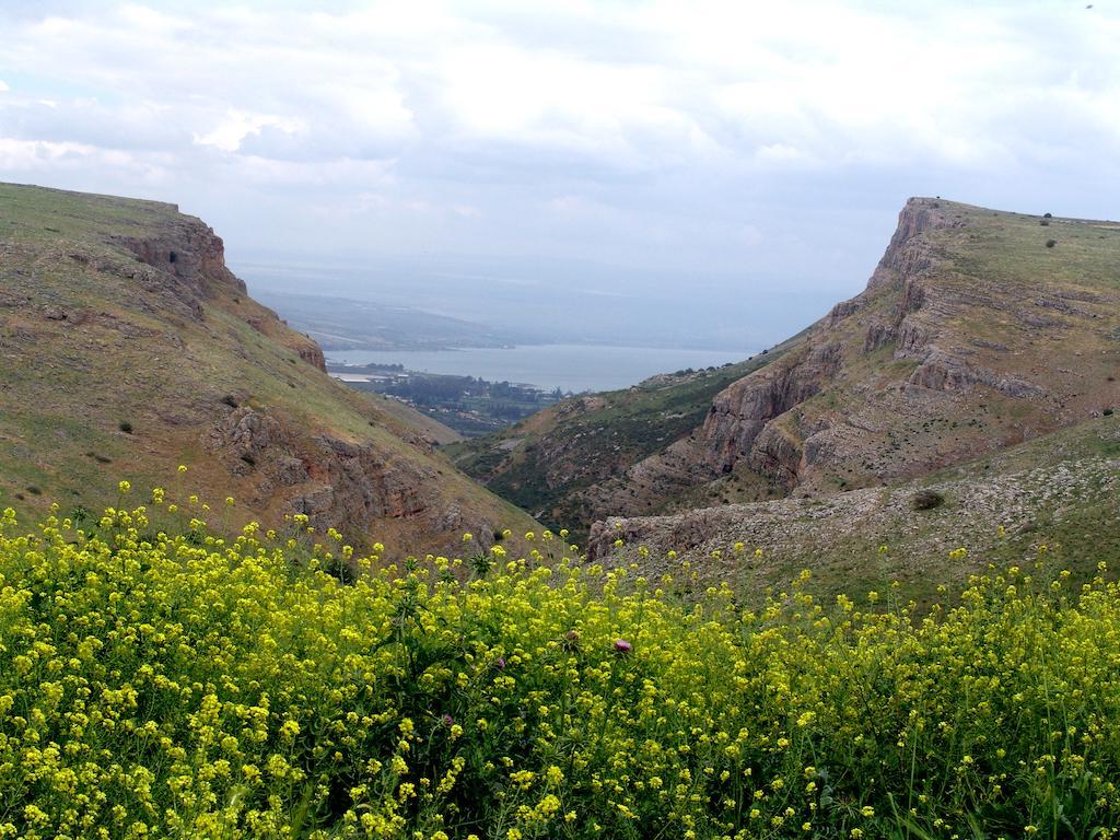 Arbel Holiday Homes Экстерьер фото